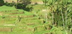 Twin centre holidays to Kuala Lumpur and Bali