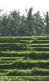 Bali plus Lombok twin centre holidays