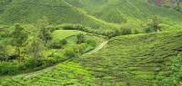Fly-drive holidays to Malaysia