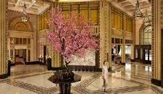 Holidays to the Fairmont Peace Hotel Shanghai