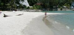 Twin centre holidays to Singapore and Penang