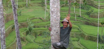 Twin centre holidays to Bali and Lombok