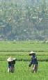 Kuala Lumpur and Lombok multicentre holidays