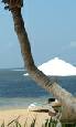 Bali beaches plus Ubud twin centre holidays