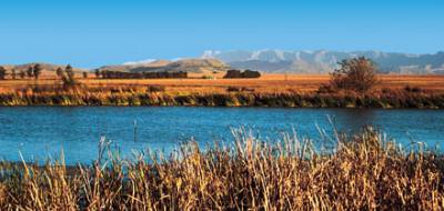 Holidays to the Sandford Park Country Hotel, Drakensberg Mountains South Africa
