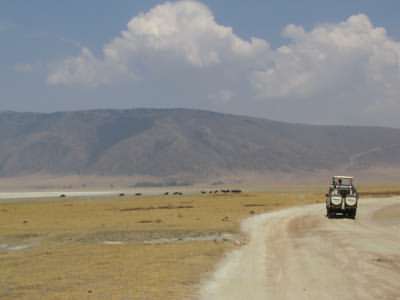 Safaris in Tanzania
