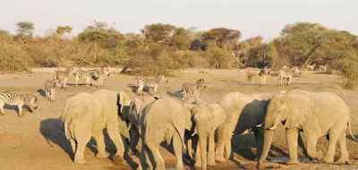  Holidays to Botswana, Rivers and Rainbows flying safari to Botswana