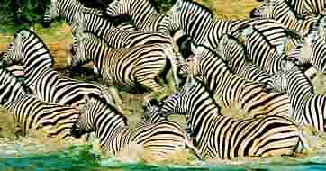 Touring holidays to South Africa