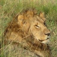 Touring holidays holidays to East Africa