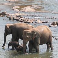 Touring holidays to Sri Lanka