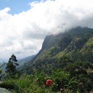 Inland hotels - Habarana, Kandy, Nuwara Eliya, Colombo and more