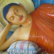 Holidays to Sri Lanka - hotels in Kandy, Sigiriya, Habarana, Nuwara Eliya, Yala and Colombo