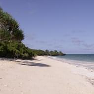 Holidays to the Cove Luxury Tree Houses Mombasa Kenya