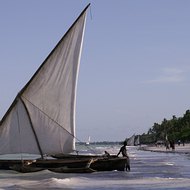 Fishing Dhows on Zanzibar's Northeast Coast