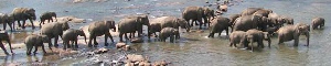 Holidays to Sri Lanka with Escape Worldwide