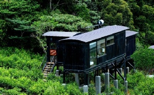 Holidays to the Rainforest Eco Lodge, Sinharaja Rainforest, Sri Lanka