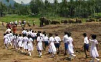 Holidays to Sri Lanka