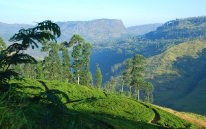 Holidays to the St Andrews Hotel, Nuwara Eliya, Sri Lanka