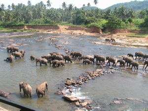 Abu Dhabi plus Touring Sri Lanka Holidays