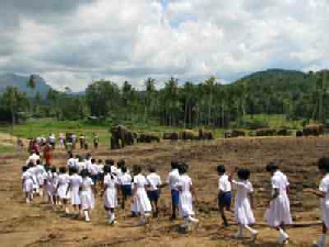 Dubai plus Touring Sri Lanka holiday