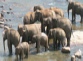 Escorted tours to Sri Lanka