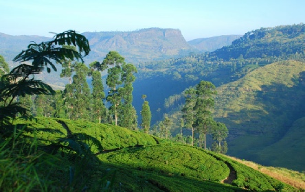 Holidays to the St Andrews Hotel, Nuwara Eliya, Sri Lanka