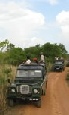 Holidays to Sri Lanka with a car and driver