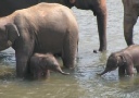 Twin and multicentre holidays to Sri Lanka and beyond