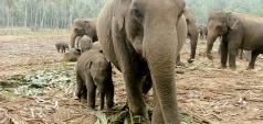 Abu Dhabi, Sri Lanka & the Maldives multicentre holiday