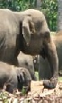 Dubai plus Sri Lanka Car & Driver Holidays