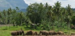Tours and Adventure Holidays to the Indian Ocean