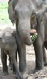 Escorted Tours of Sri Lanka - Discover Sri Lanka Tour