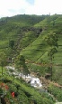 Escorted Tours of Sri Lanka - Sri Lanka Adventure Tour