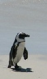 Cape Town and Mauritius Twin Centre holidays