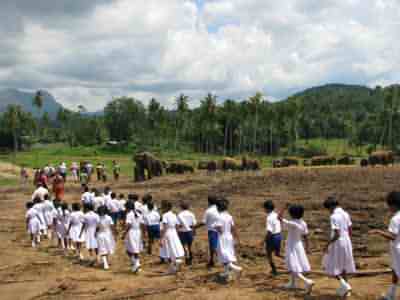 Dubai plus Touring Sri Lanka holiday