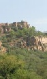 Escorted Tours of India - Essence of Kerala