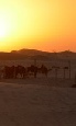 Dubai and Oman twin centre Holidays