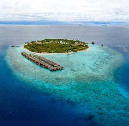 Holidays to the Reethi Faru Resort, Maldives