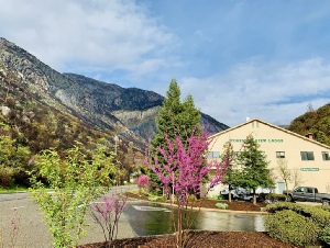 Holidays to the Yosemite View Lodge