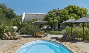 Holiday to the Yellow Aloe Guesthouse, Cederberg Area,  South Africa
