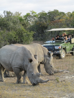 Dubai, Cape Town, the Garden Route & Safari Fly-Drive Holiday