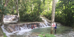 Sightseeing and excursions in Jamaica