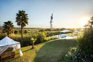 Holiday to De Zeekoe Guest House, Oudtshoorn South Africa