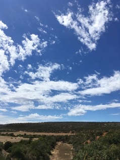 KwaZulu-Natal - Mountains, Battlefields, Wildlife & Coast Fly-Drive Holiday