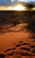 Safari holiday in Namibia - Namibia's Magical South