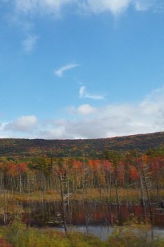 Holidays to New England with Escape Worldwide