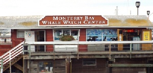 Holidays to Monterey and the California Coast with Escape Worldwide