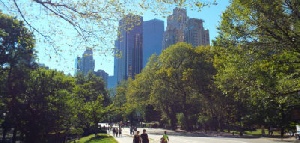 Holidays to New York with Escape Worldwide