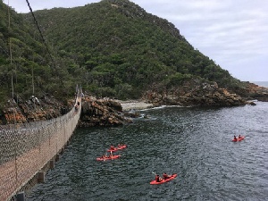 Kruger, the Garden Route & Cape Town Fly-Drive Holidays