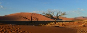 Holiday to Sossusvlei and the Namib-Nakluft National Park, Namibia